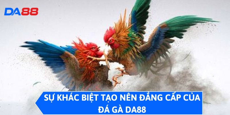 Đá Gà DA88 - Sảnh Cược Đỉnh, Trải Nghiệm Không Thể Bỏ Qua 1 Sự khác biệt tạo nên đẳng cấp của đá gà DA88